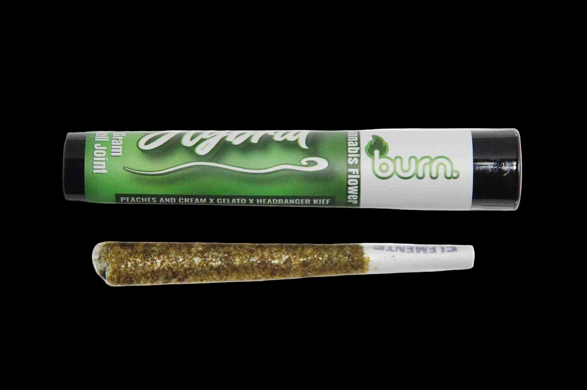 Burn 1.5g Xl infused Preroll