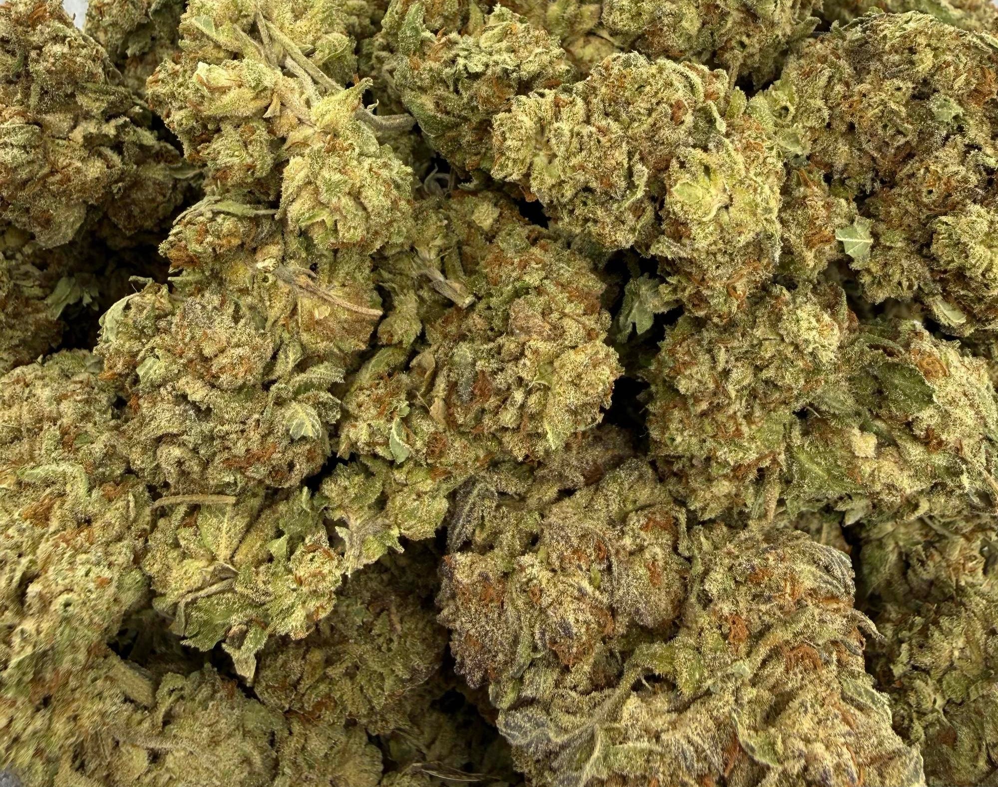 Kali Kandy AAA Hybrid