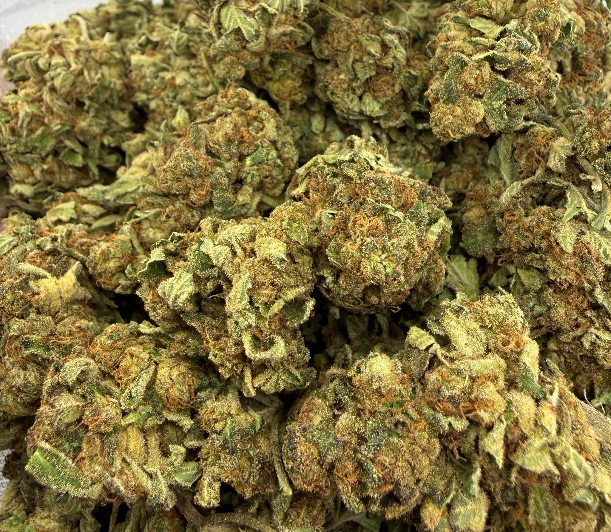 Purple Thai AA Sativa