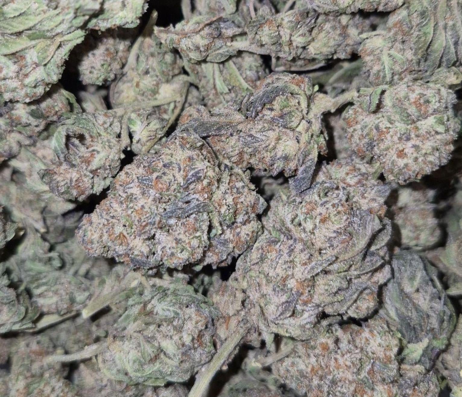 Moroccan Peaches AAAA Hybrid