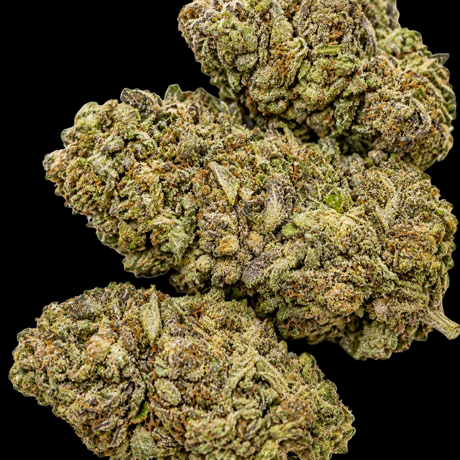 Stardawg AAA Hybrid