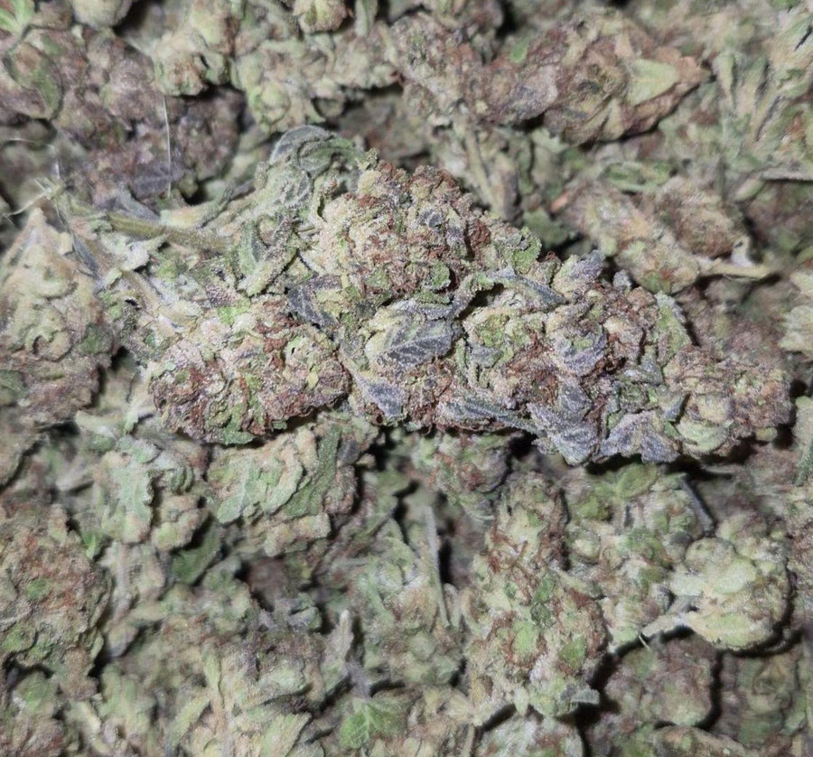 Hawaiian Snow Budget Sativa
