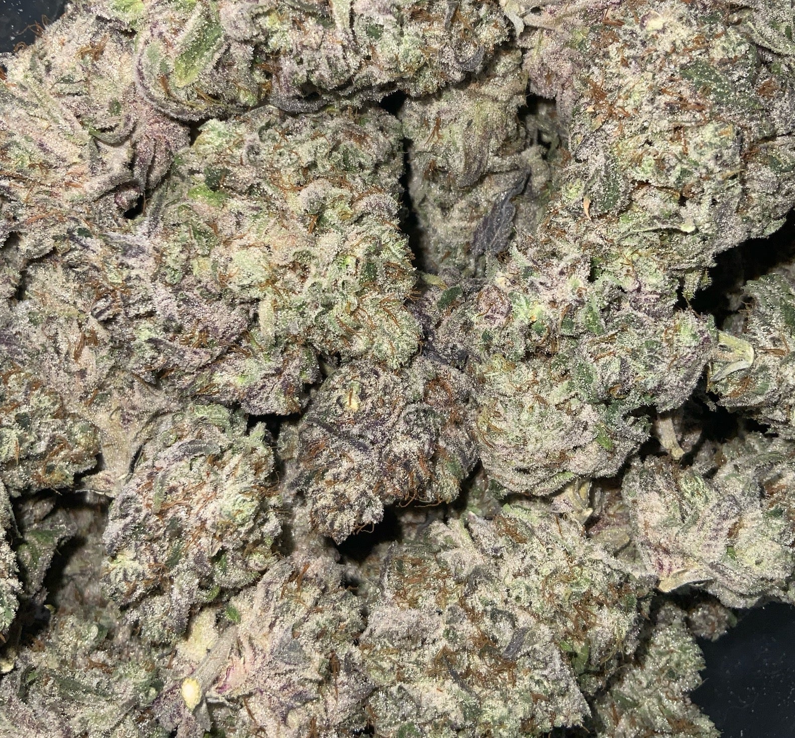 Watermelon Hashplant AAAA++ Craft Quad Sativa