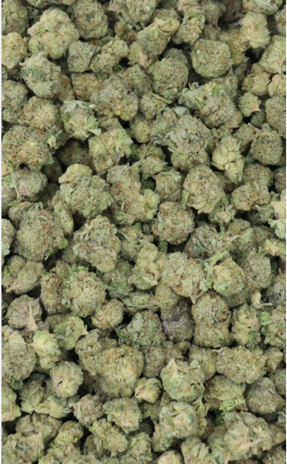 Moon Dog AAAA Hybrid