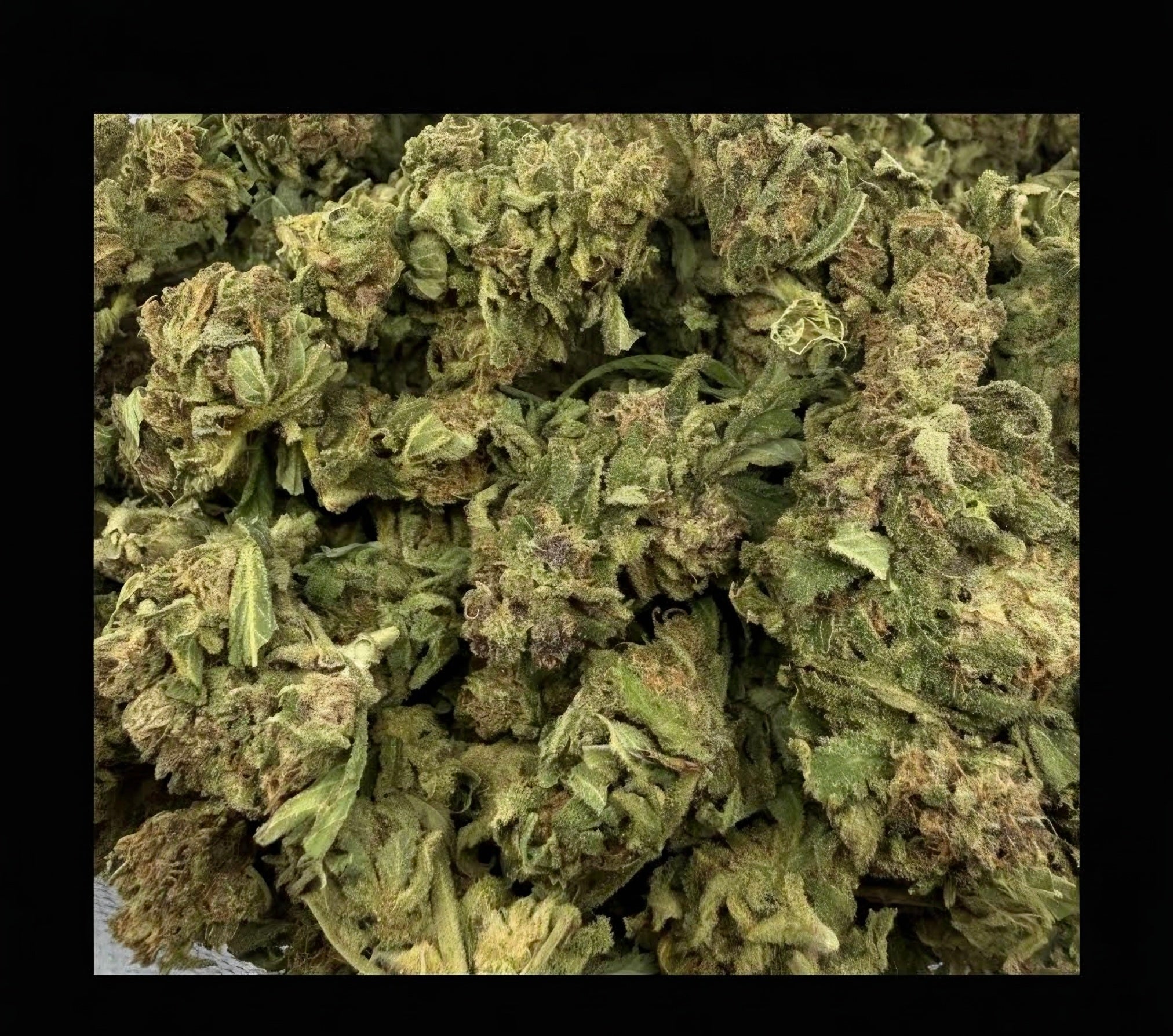 Blue Nerds AAA+ Hybrid