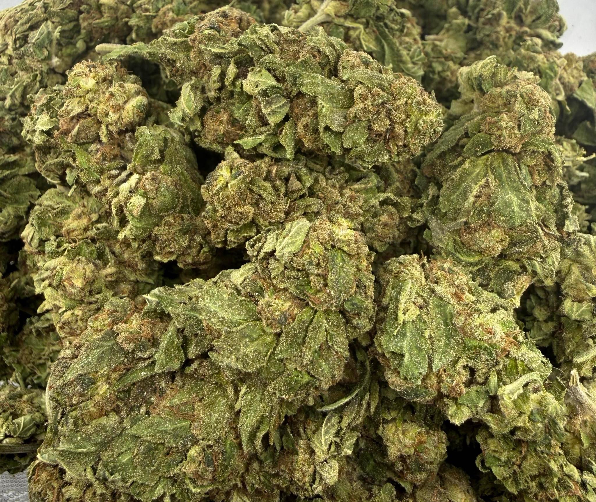 Jack Herer AA Sativa