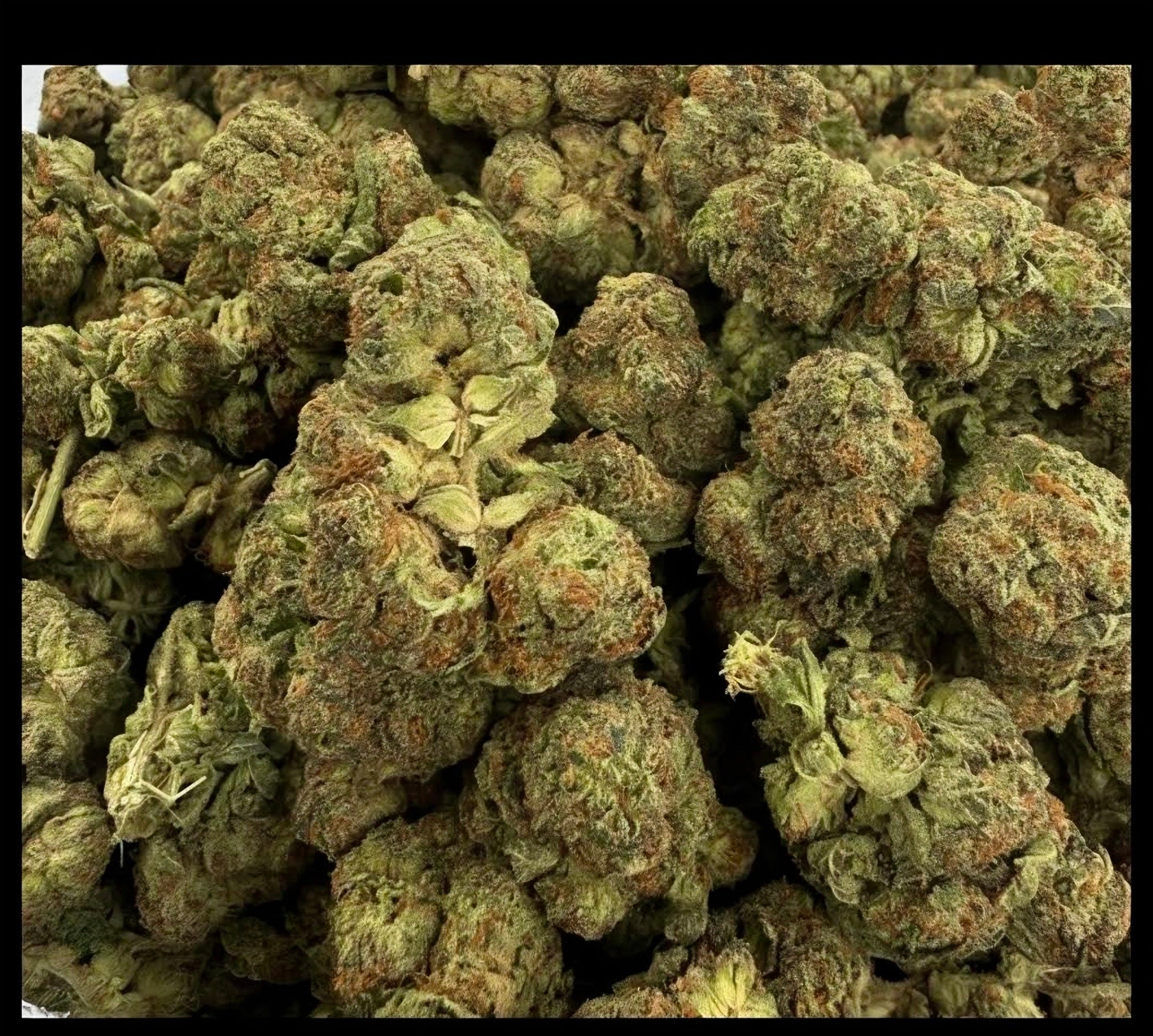 Ghost train Haze AAAA+ Sativa