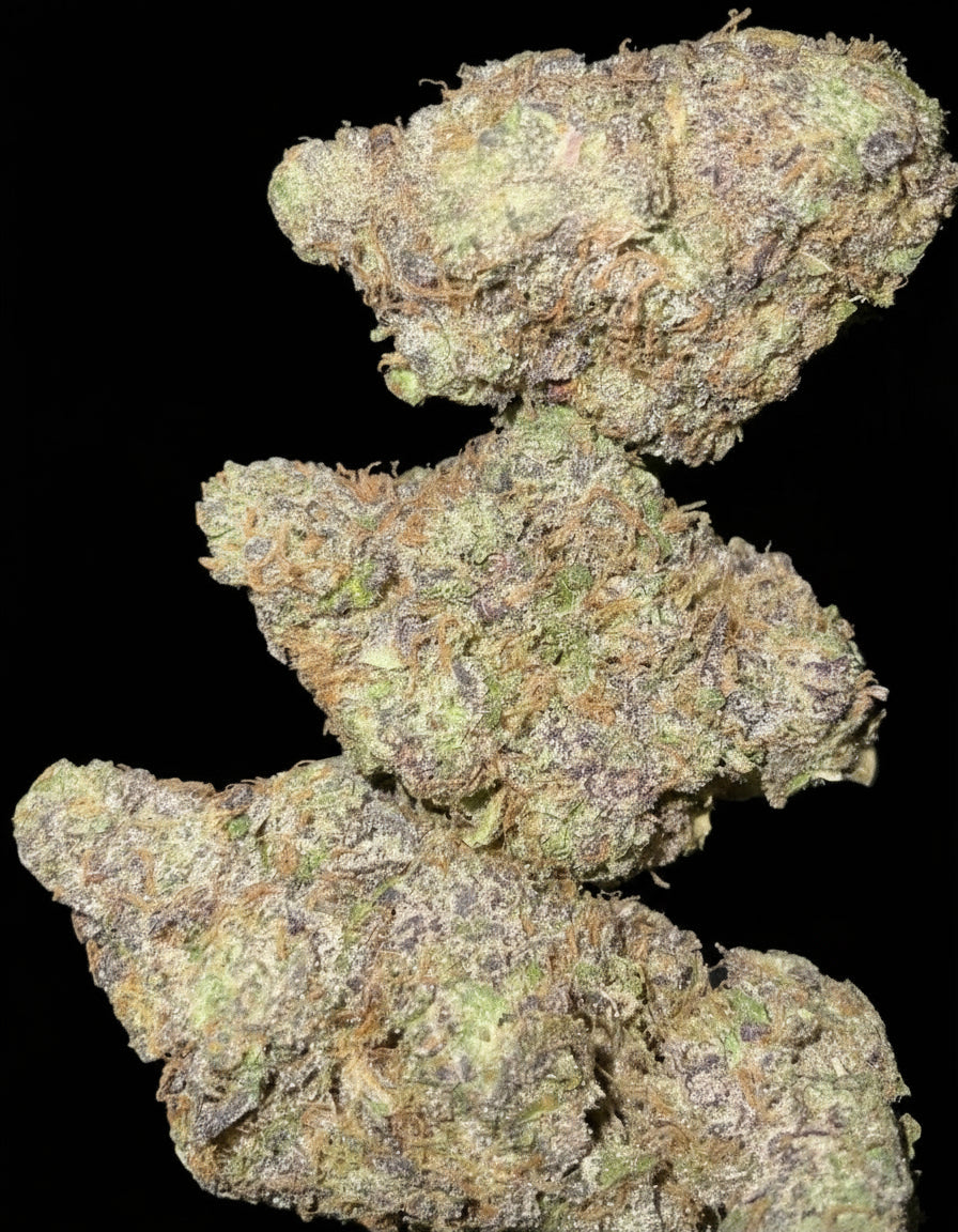 Purple Star Killer AAAA++ Craft Indica