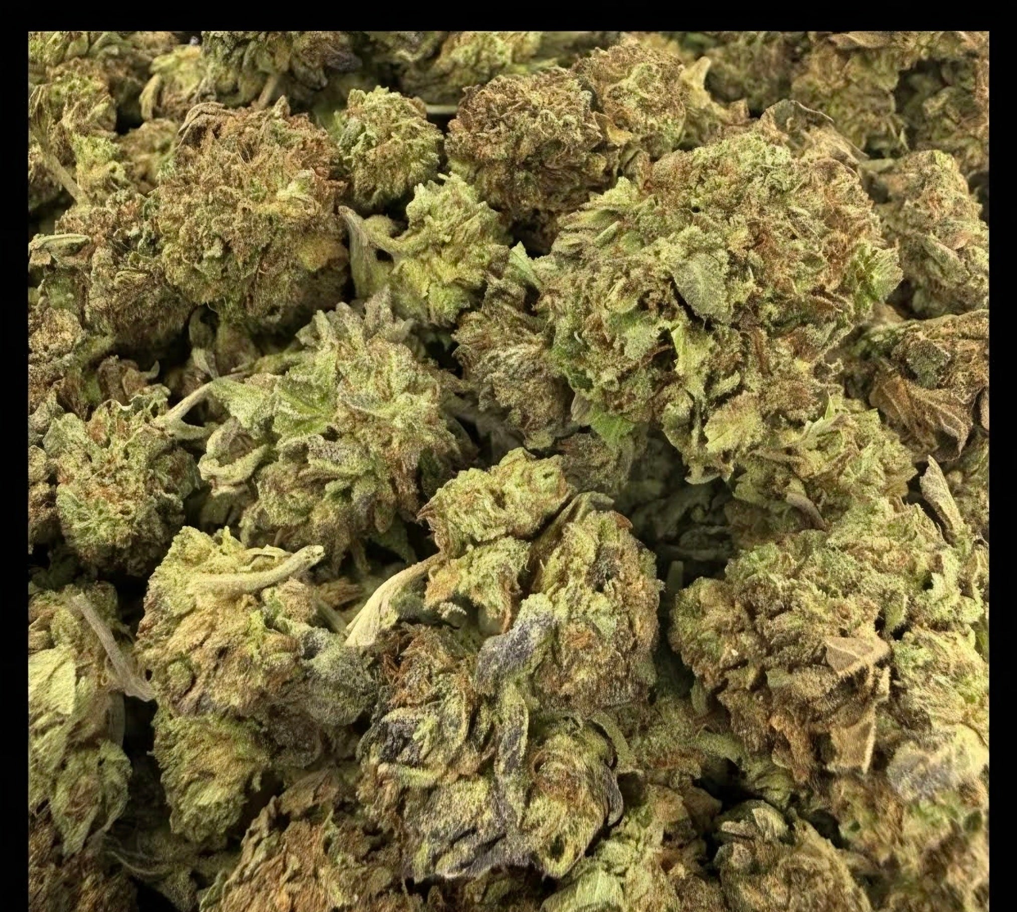 White Widow AA Hybrid
