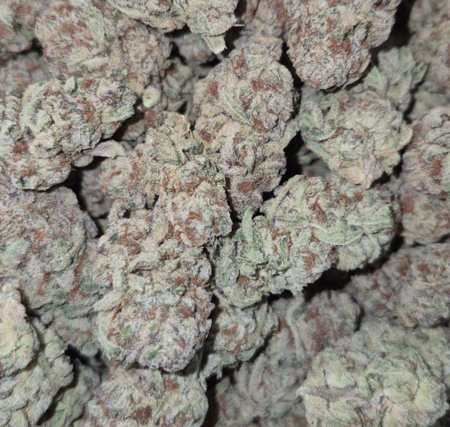 Silver Cake AAA Sativa