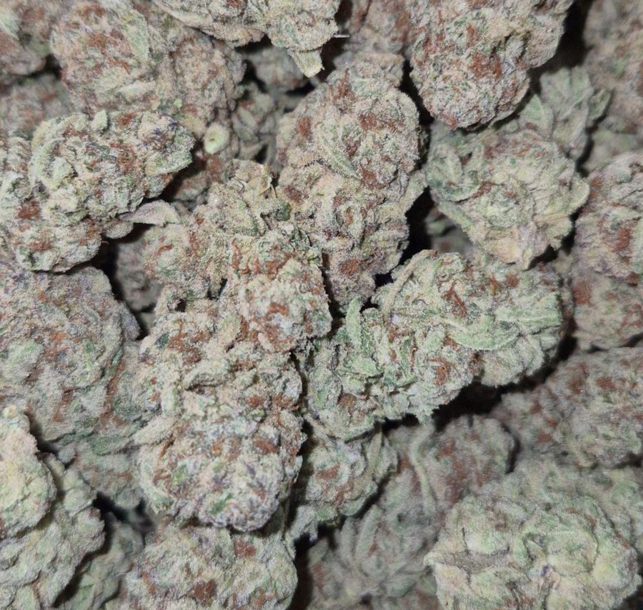 Silver Cake AAA Sativa