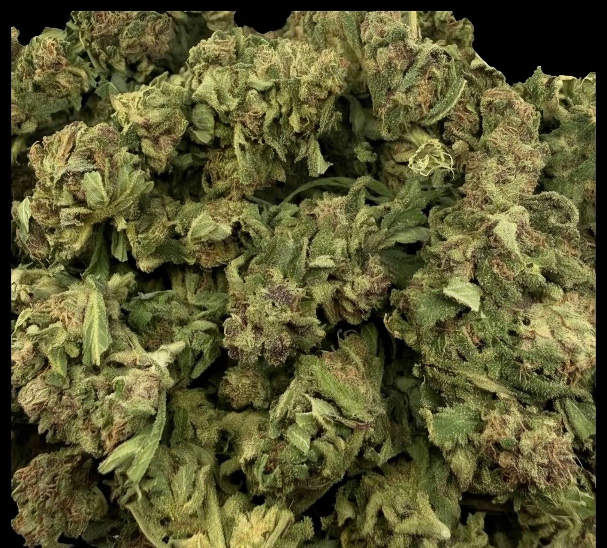 First Class Funk AAA Indica