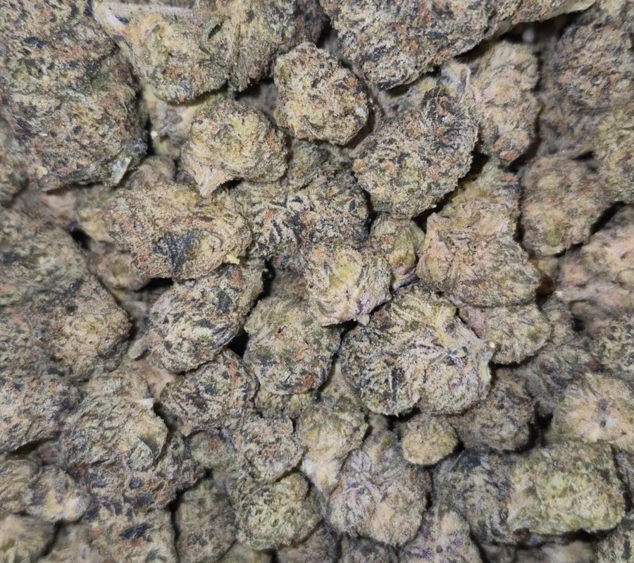 Full Moon Purp Smalls AAAA+ Sativa