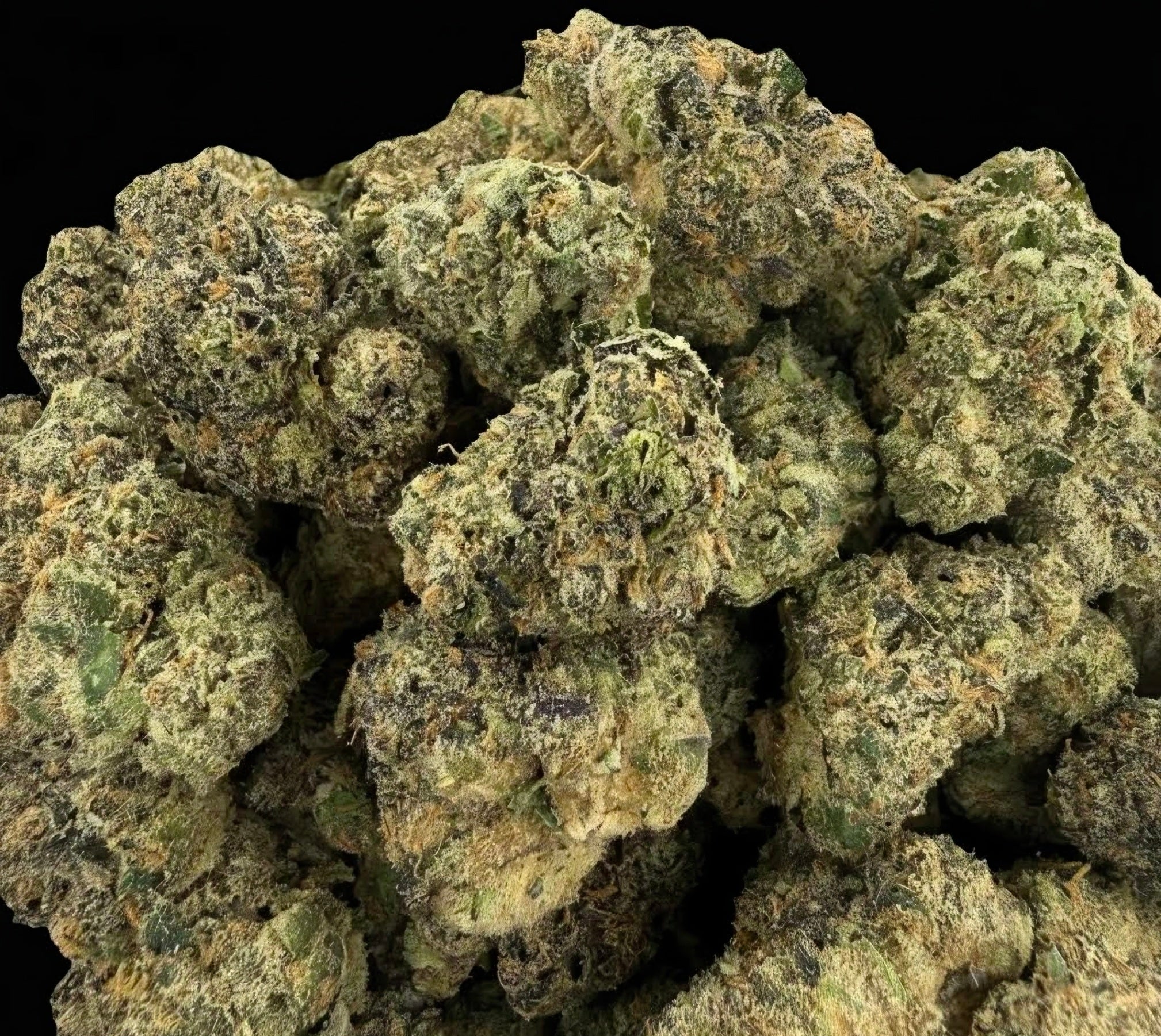Zombie Kush AAAA+ Indica