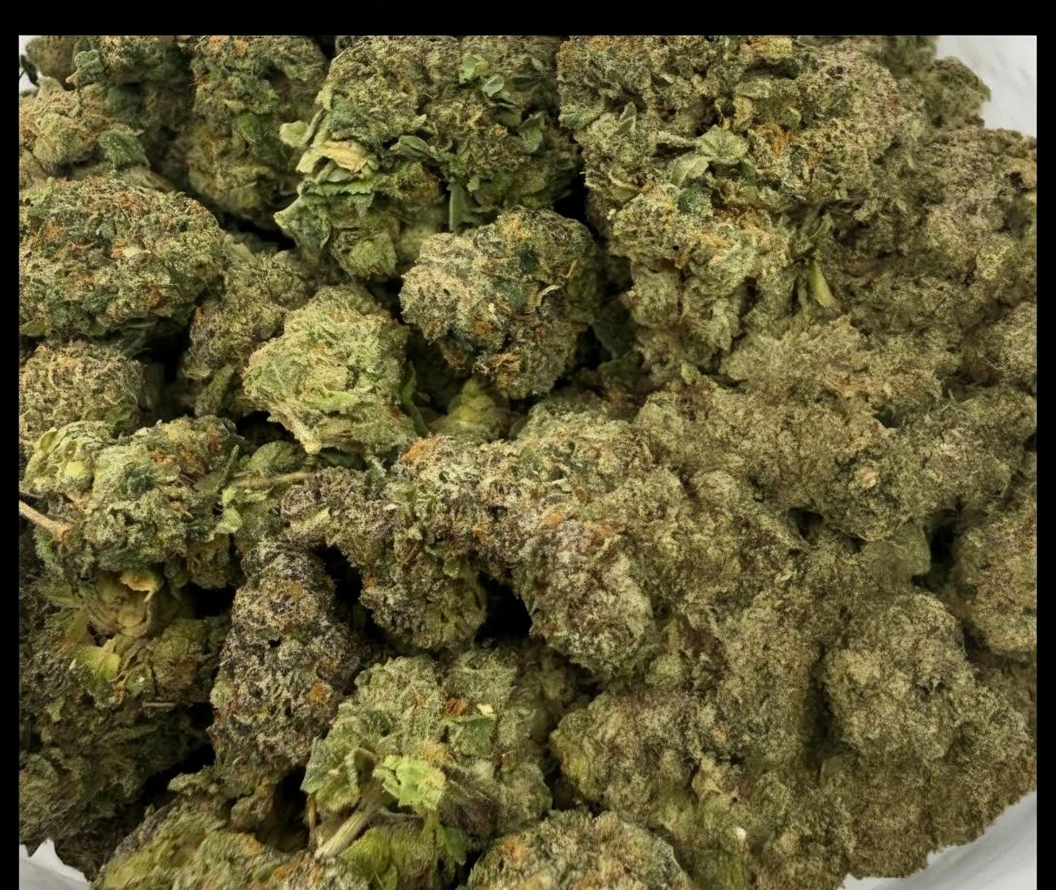 Thin mint cookies AAAA Hybrid