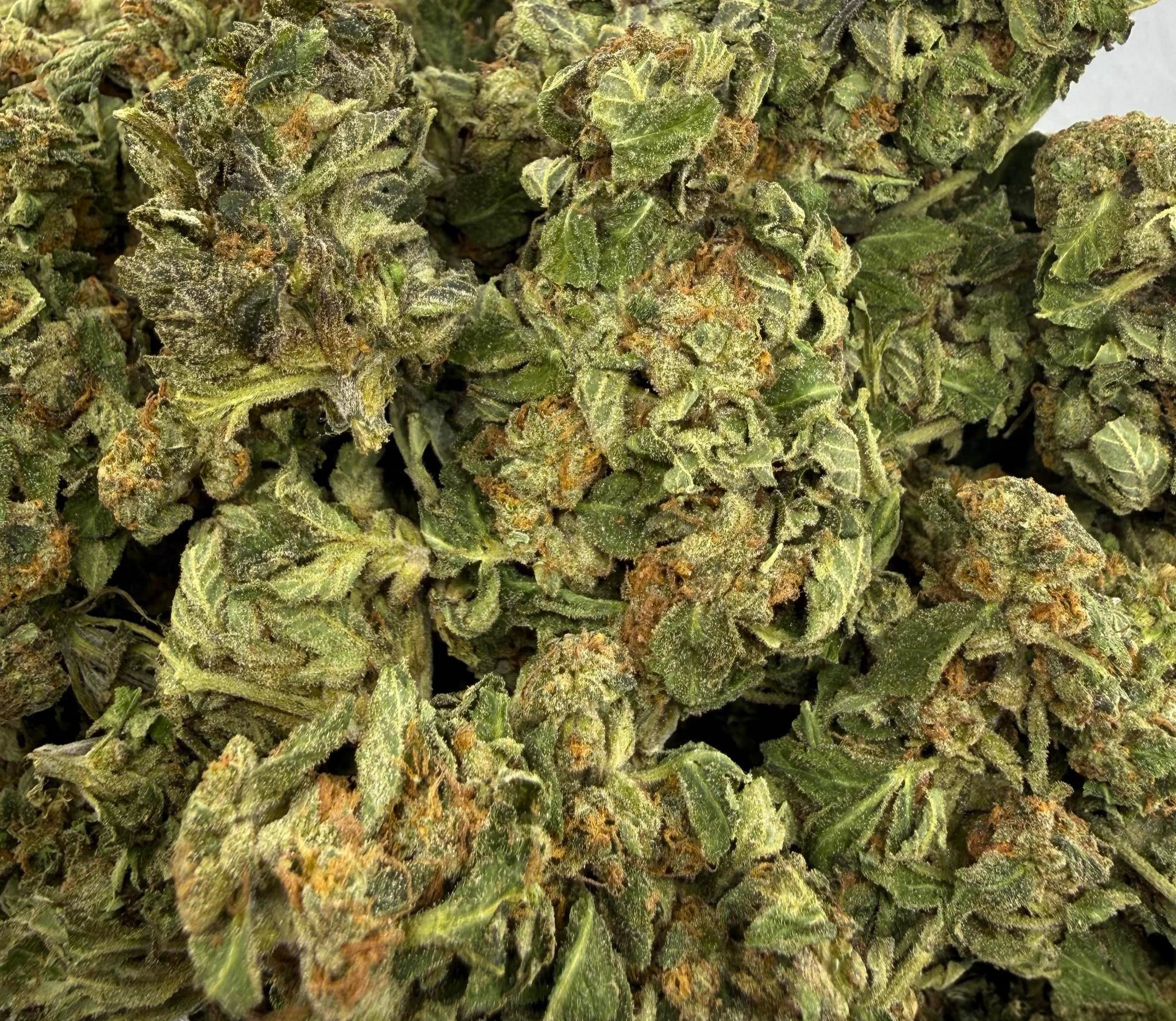 Purple Oreoz AA Indica