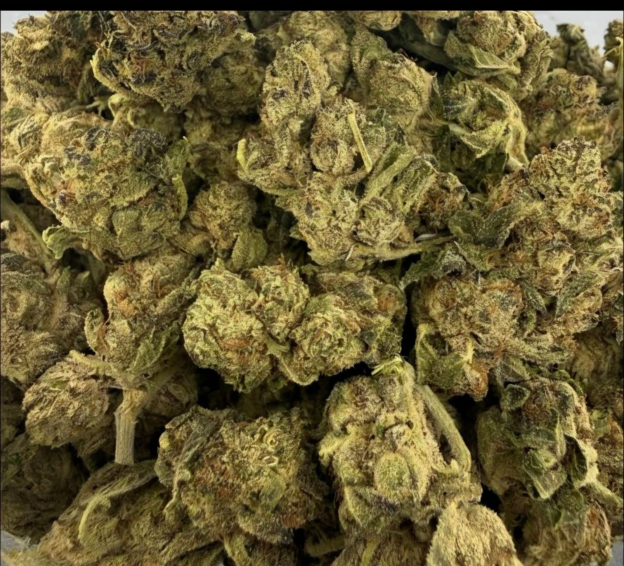 Stardawg AAA+ Sativa