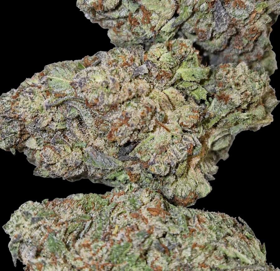 LA Confidential AA Indica