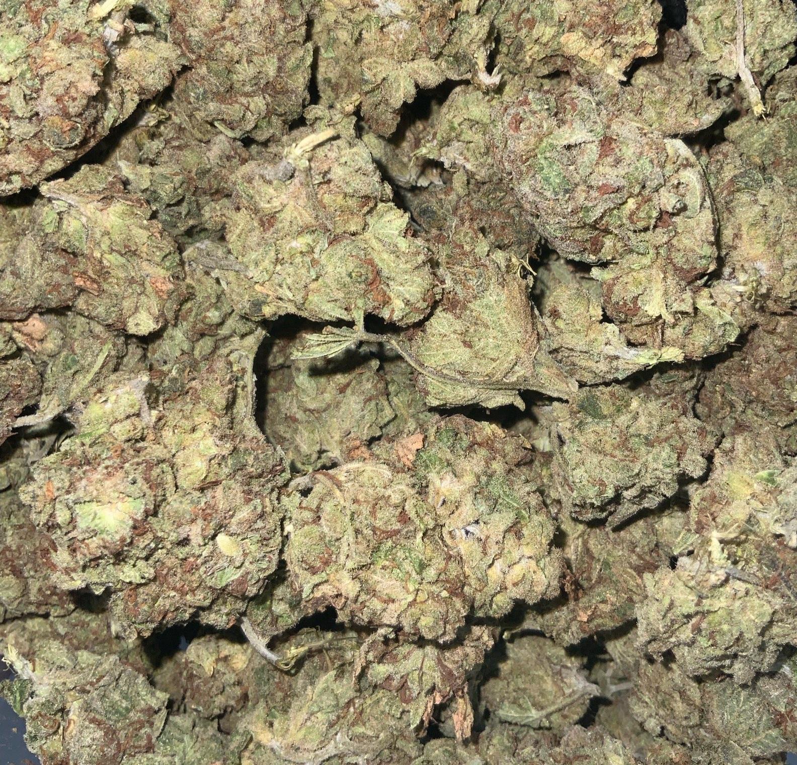 Ghost Train Haze Sativa