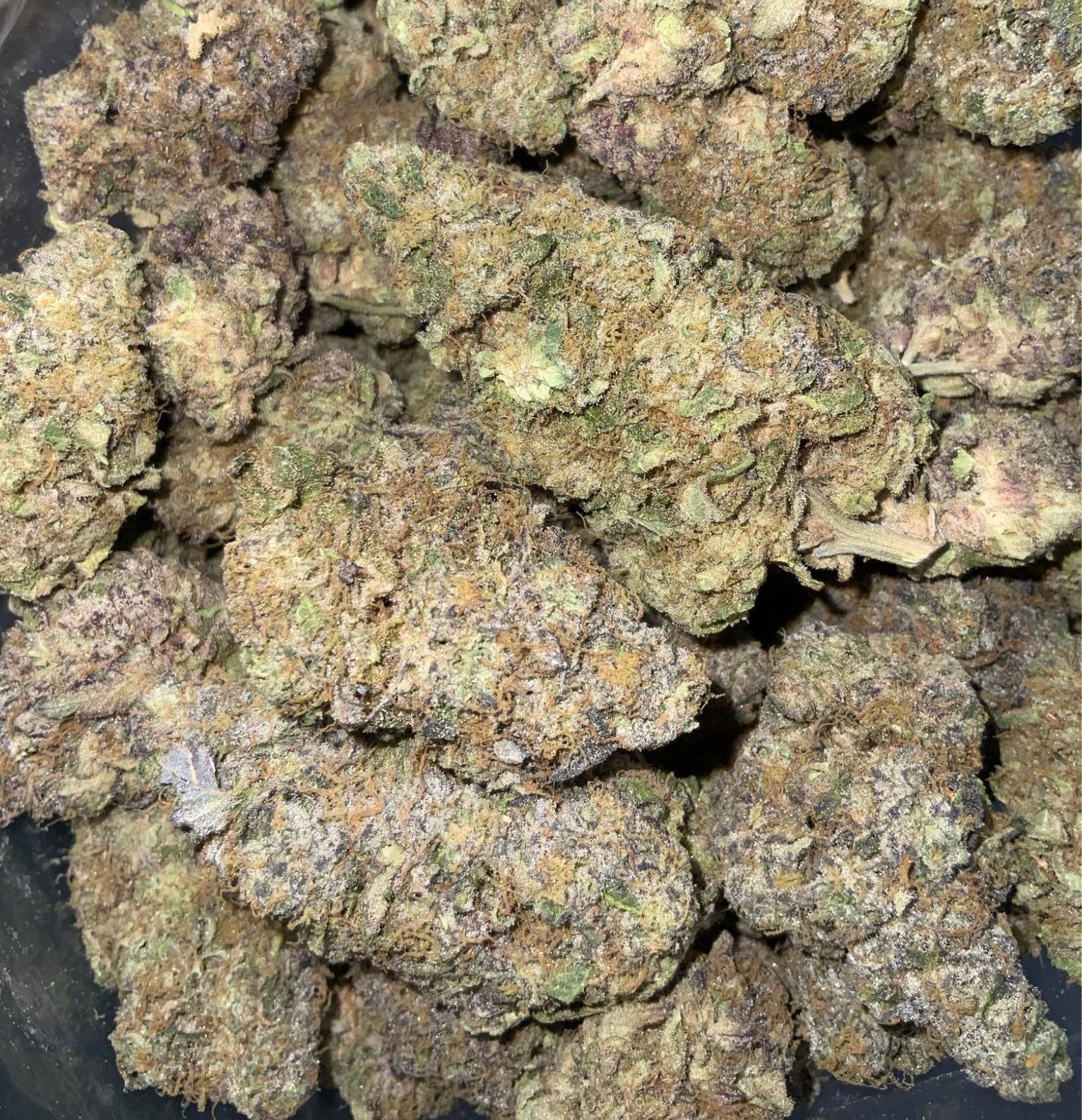 Chocolate Chunk AAAA+ INDICA