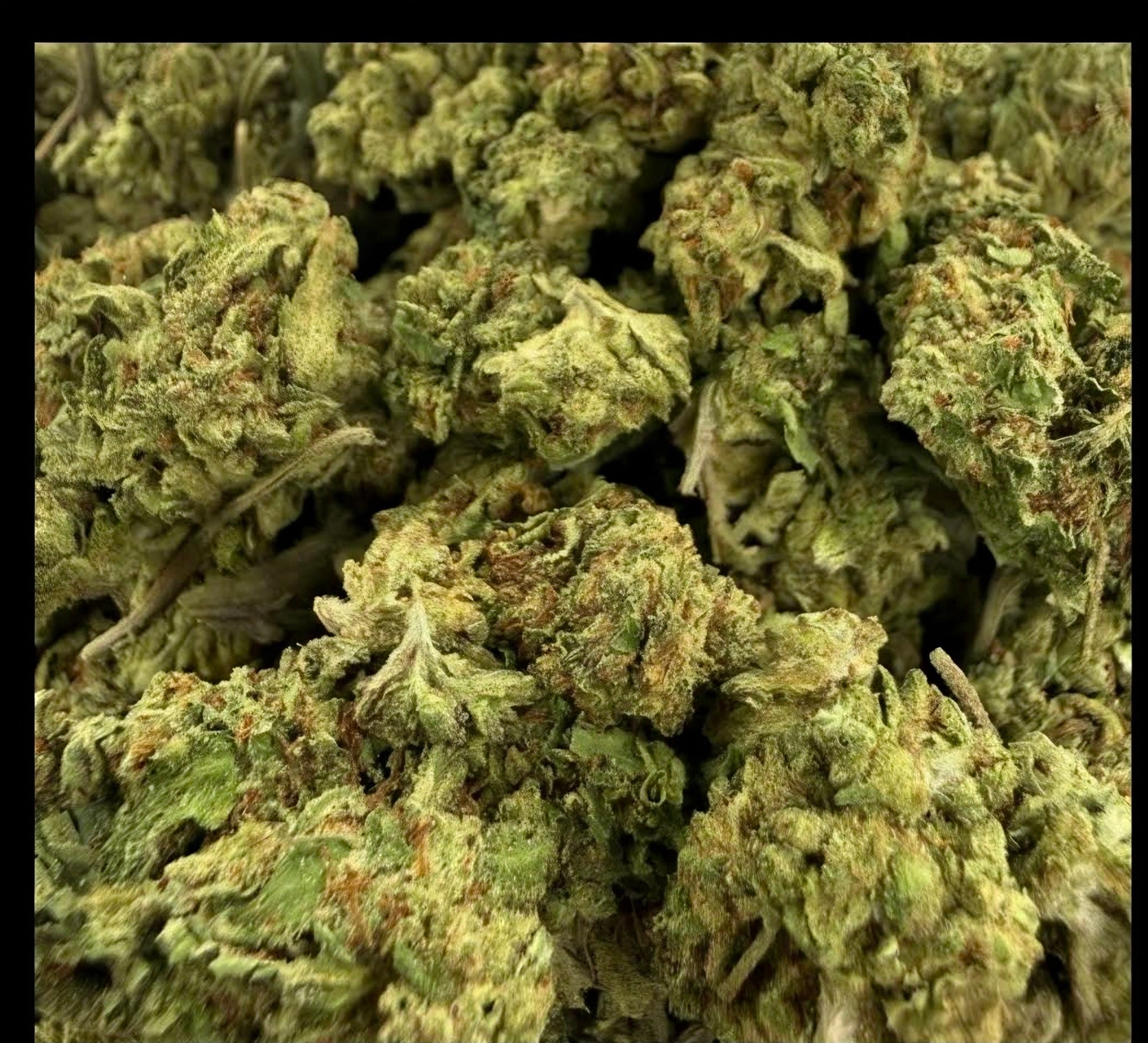 Nebula Skunk Budget Hybrid