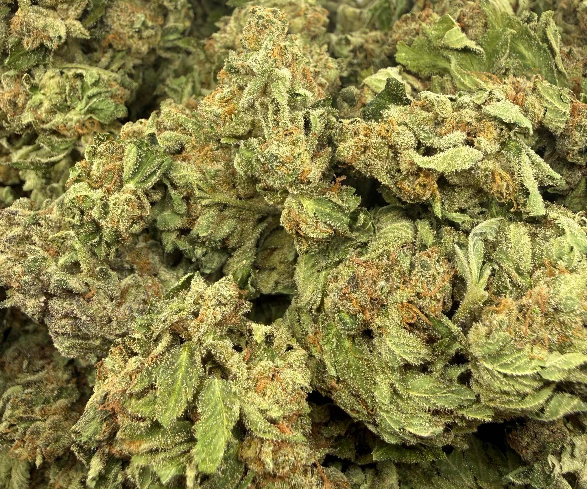 Glazed Donut AAA Hybrid
